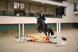 Royal Etrier Belge | Horseback Riding - Rated 1