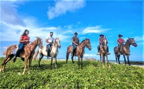 Royal Horse Carriages Riding Centre in Sri Lanka, Western Province | Horseback Riding - Rated 1