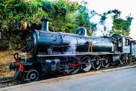 Royal Livingstone Express | Scenic Trains - Rated 3.7
