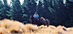 Rubicon Valley Horse Treks in New Zealand, Canterbury | Horseback Riding - Rated 1.1
