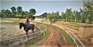 Rubinga Equestrian Park Gombak in Malaysia, Selangor | Horseback Riding - Rated 0.8