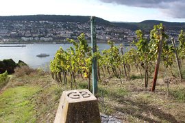Georg Breuer Winery in Germany, Hesse | Wineries - Rated 0.8