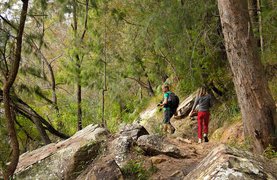 Ruitai Historic Trail | Trekking & Hiking - Rated 3.4