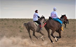 Equestrian club "Legend" in Russia, Northwestern | Horseback Riding - Rated 0.8