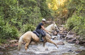 Ryders Horse Riding Tours in Australia, Victoria | Horseback Riding - Rated 0.9