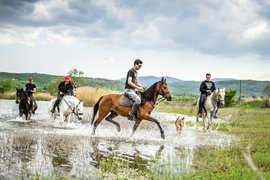 Kk Silver Horseshoe | Horseback Riding - Rated 1