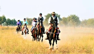 Saddle Horse Riding Academy in India, Telangana | Horseback Riding - Rated 1.1