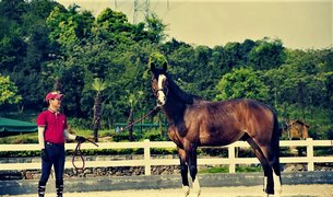 Saddle Up Argentina | Horseback Riding - Rated 0.8