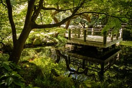 San Francisco Botanical Garden | Botanical Gardens - Rated 4.1