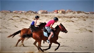 Santa Marilha Horse Excursions in Cape Verde, Sal | Horseback Riding - Rated 0.9