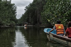 Manglares de Tumbes National Sanctuary in Peru, Tumbes | Parks - Rated 3.7