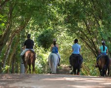 Recanto dos Cavaleiros in Brazil, Southeast | Horseback Riding - Rated 4.5
