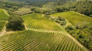 Valdonica Winery | Wineries,Restaurants - Rated 1