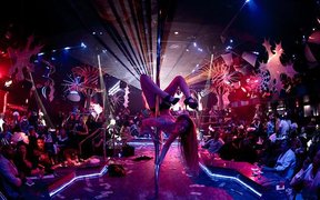 Scarlett's Cabaret in USA, Florida  - Rated 3.7