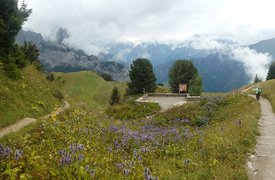 Schynige Platte Panorama Trail in Switzerland, Canton of Bern | Trekking & Hiking - Rated 0.8
