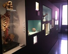 MUSME - Museum of the History of Medicine of Padova in Italy, Veneto | Museums - Rated 4