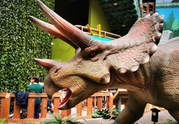 National Children's Museum | Museums - Rated 3.8