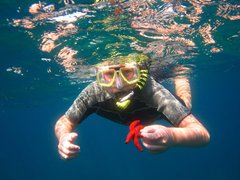 Scuba San Diego in USA, California | Scuba Diving - Rated 0.7