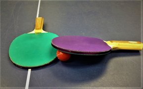 Seed Table Tennis in Taiwan, Northern Taiwan | Ping-Pong - Rated 0.7