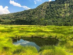 Semuliki National Park in Uganda, Western | Parks,Trekking & Hiking - Rated 0.7
