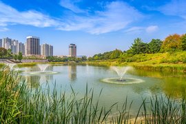 Seoul Forest Park in South Korea, Seoul Capital Area | Parks - Rated 3.7