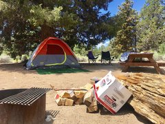 Serrano Campground | Campsites - Rated 4