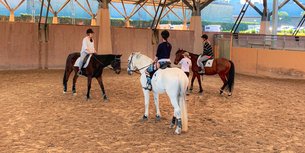 Centennial Parklands Equestrian Centre in Australia, New South Wales | Horseback Riding - Rated 0.8