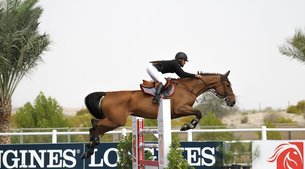 Sharjah Equestrian and Racing Club | Horseback Riding - Rated 4.2