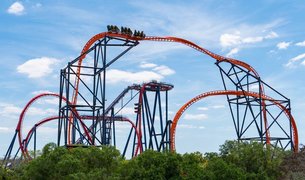 SheiKra in USA, Florida | Amusement Parks & Rides - Rated 3.9