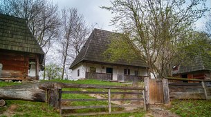 Shevchenko Grove | Museums,Traditional Villages - Rated 4.9