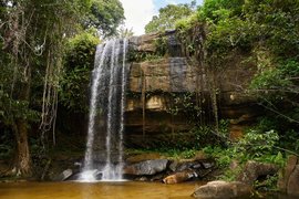 Shimba Hills National Reserve | Waterfalls,Parks,Trekking & Hiking - Rated 3.4