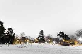 Sibelius Park | Parks - Rated 3.5