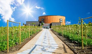Nordic Sea Winery | Wineries - Rated 0.8