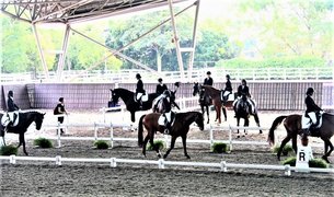 National Equestrian Centre in Singapore, Singapore city-state | Horseback Riding - Rated 1