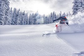 Ski Tech | Skiing - Rated 3.8