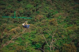 Sky Adventures Monteverde Park | Zip Lines,Adventure Parks - Rated 4.1
