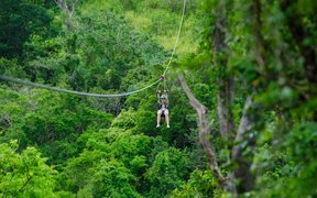 Sky Safari Zipline in Saint Kitts and Nevis, Saint Thomas Middle Island | Zip Lines - Rated 0.9