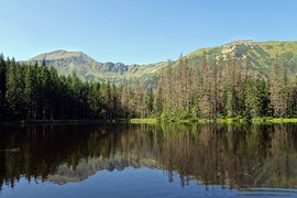 Smreczynski Pond | Trekking & Hiking - Rated 0.9