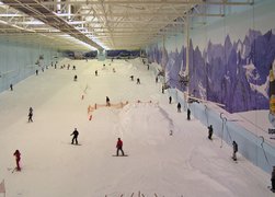 Snow Factor | Snowboarding,Skiing - Rated 3.9