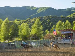 Snowmass Rodeo | Shows - Rated 0.8