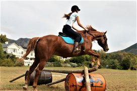 The Riding Centre in South Africa, Western Cape | Horseback Riding - Rated 1.2