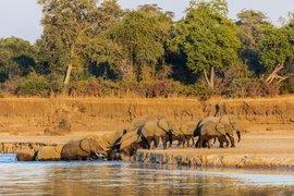 South Luangwa National Park in Zambia, Northern Province | Parks,Safari,Trekking & Hiking - Rated 0.7