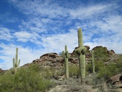 South Mountain Park | Nature Reserves - Rated 4.4