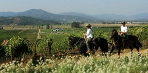 Southern Trips Cochamo in Chile, Los Lagos | Horseback Riding - Rated 0.9