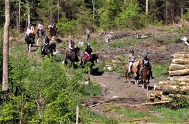 Sparrarp islandshastar recreation center in Sweden, Skane | Horseback Riding - Rated 0.9