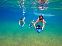 Island Water Sports Hawaii | Scuba Diving - Rated 3.8