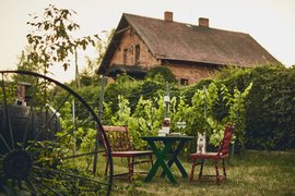 Kinga Vineyard in Poland, Lower Silesian | Wineries - Rated 0.9