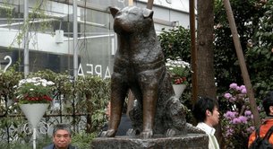 Statue of the Faithful Dog Hachiko