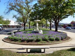 Sturt Street Gardens in Australia, New South Wales | Parks - Rated 0.8