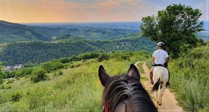 Sumska stala in Serbia, Vojvodina | Horseback Riding - Rated 1